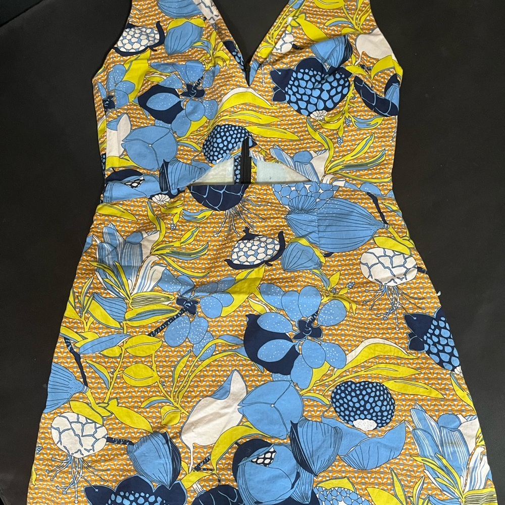 Zara Blue and White Sleeveless V-Neck Sundress